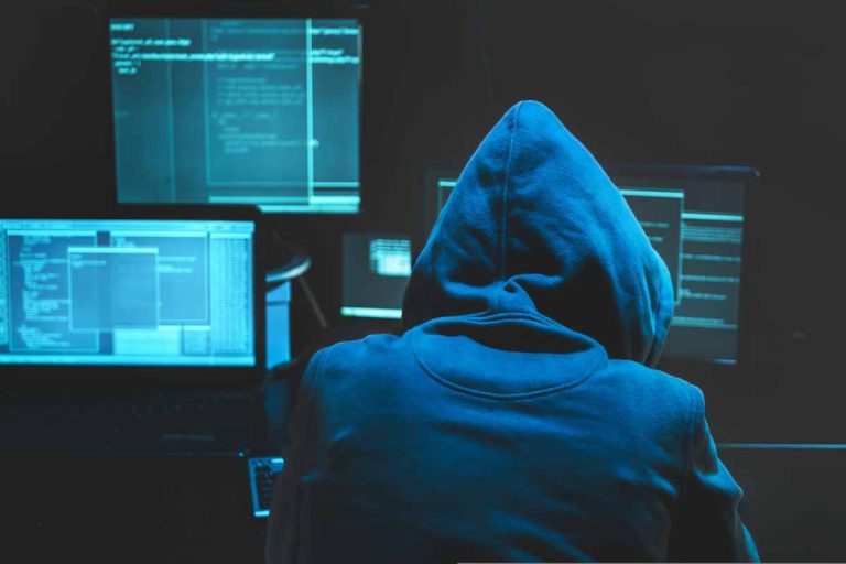 WawaMania : plongée dans la saga d’un forum pirate devenu légende numérique